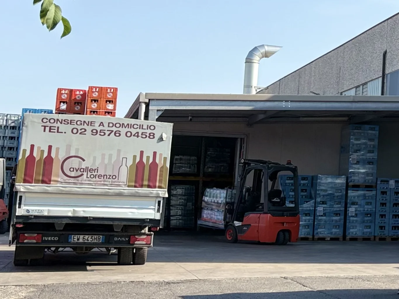 consegna-vini-rossi-bianchi-e-spumanti